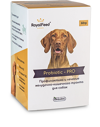 Пробиотики для собак